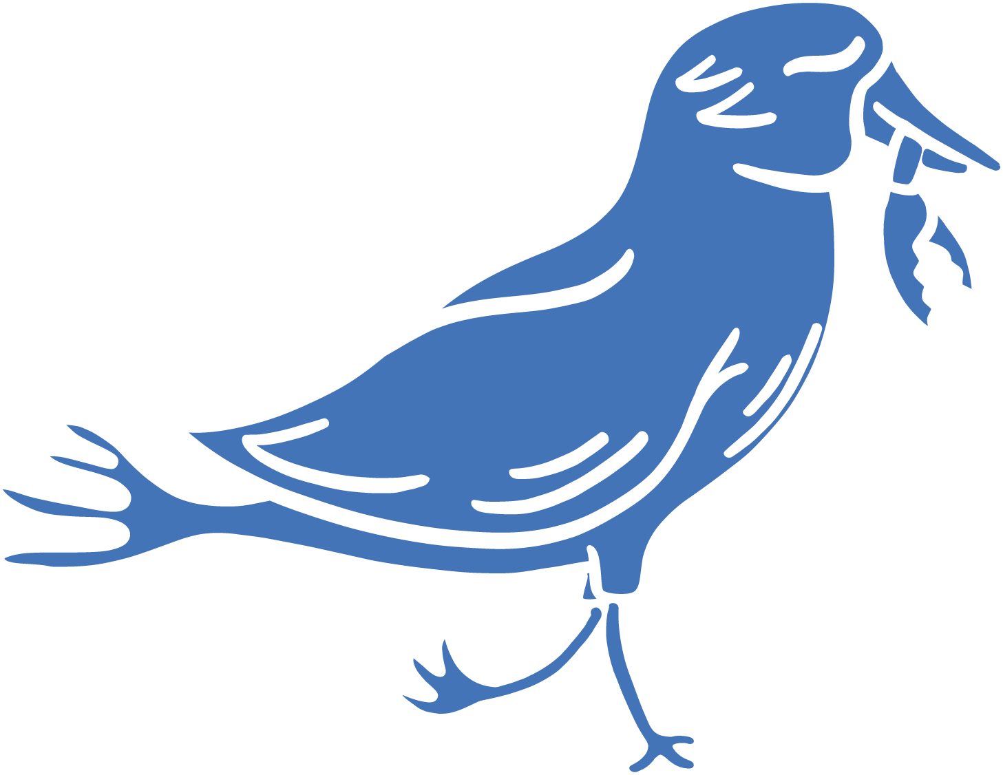 Seagull